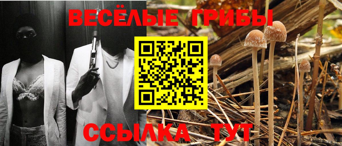 Тельмана  Псилоцибиновые грибы Cubensis  Вход с VPN  как найти закладки  Псилоцибиновые грибы Psilocybe 